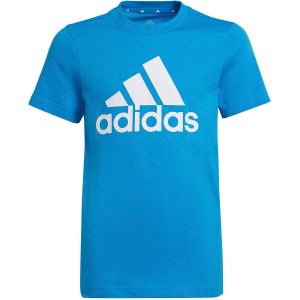 adidas Designed To Move Graphic Kid's Tee HC3045